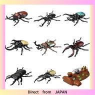 TAKARA TOMY Ania AS-37 Beetle Insect Toy Ages 3+ ,beetle,Single item,Giraffa sawtooth stag beetle,Ca