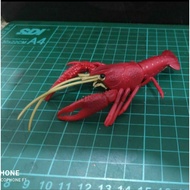 Crayfish miniature lobster/ B