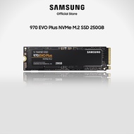 Samsung 970 EVO Plus NVMe M.2 SSD