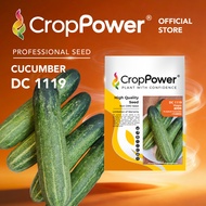 (10 GRAM) Biji Benih Timun DC1119 CROP POWER F1 Hybrid Cucumber Seeds  黄瓜种子 DC 1119