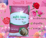 ปุ๋ยแม่โจ้ โอเค ปุ๋ยกุหลาบ ดอกดก
