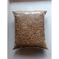 MERAH Red Rice Paddy Paddy Red Rice