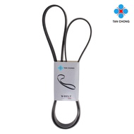 NISSAN TC Fan Belt 7PK1750 - Nissan Navara D23T