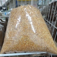 kambu biasa (cina) 1kg