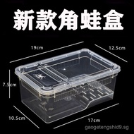 Breeding Box for Scorpions, Palm Tree Frogs, Amphibians, Second Generation Tree Frogs, Amphibian Pet