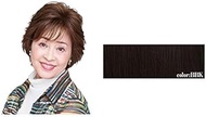 BEAUTE All Wig, Classic Short Human Hair Mix BA-007, BBK, Natural Black
