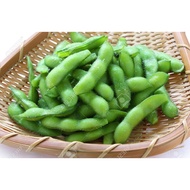 dwarf Black Edamame/ Edamame hitam renek/ kacang bulu hitam renek