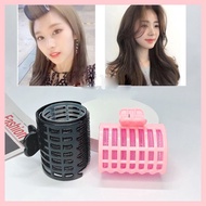 Set of 2 DTOnline hair curling and styling rollers (choose color) SHOOT_TIM_2