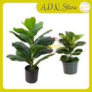 ARTIFICIAL FIDDLE FIG PLANT | POKOK HIASAN FIDDLE FIG TREE ARTIFICIAL PLANTS