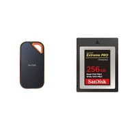 Extreme E81 SDSSDE81-4T00-GH25CF Expressセット（256GB)