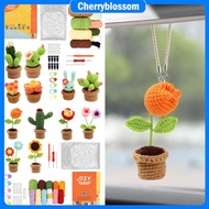 6Pcs Crochet Starter Kit Complete Potted Plant Crochet Kit Cute Crochet Knitting Kit Colorful Croche