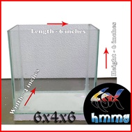 ☎ ⚾︎ ∏ Betta Tank, for pet grooming, (maximum of 2 Tank per Checkout) 4x4x4, 4x4x6, 6x4x6, 6x4x8 ,