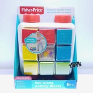 Fisher-Price Pull-Along Activity Blocks Fisher Price Pull Along