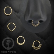 Septum Piercing and Piercing Brass Ear Tragus and Helix Piercing