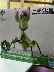 一番賞 A賞 昆蟲 魔花螳螂 螳螂 IDOLOMANTIS DIABOLICA 模型