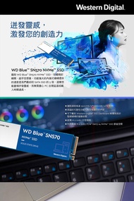 【前衛】WD 威騰 藍標 SN570 1TB NVMe M.2 PCIe SSD