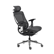 Bwell เก้าอี้เพื่อสุขภาพ รุ่น Bjorn สีดำ