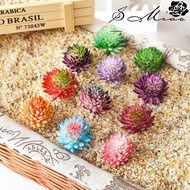Mini Succulents Artificial -  Succulents Plants Artificial Mini Plants ,Assorted Decorative Faux Fak