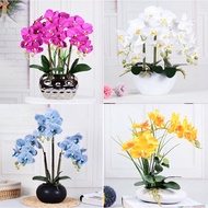 Artificial Orchid Faux Orchid Table Plant Decoration Interior Hari Raya