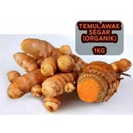 Fresh turmeric 1kg fresh wet tuber Temulawak