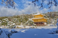 【日本】一人成行☄京都一日遊｜金閣寺・嵐山・伏見稻荷・奈良公園
