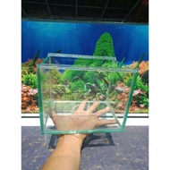 Solitary glass aquarium for betta fish, gepy fish, size 20x15x15