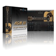 Ample Sound – Ample Guitar M III 3