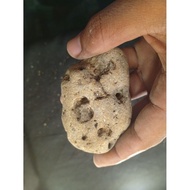 Natural stone meeting collection of collectors 52