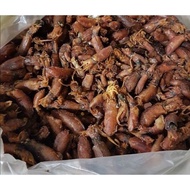 Sotong cumi kering sabah/bersih dan halal