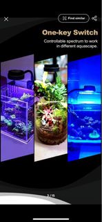 LED 3W ZETLIGHT 為水族館。