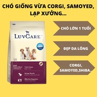Luvcare Medium Adult skin and coat improvement grain food for Adult dogs (corgi, samoyed, shiba...)