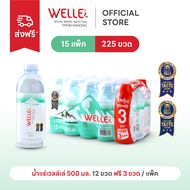 (300 ขวดฟรี 75 ขวด) Welle Mineral Water น้ำแร่เวลล์เล่ 500 มิลลิลิตร 25 แพค จากแหล่งน้ำแร่ระนอง