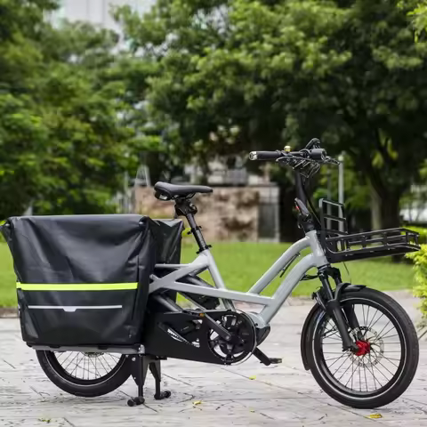 Wholesale City Electric Cargo Bike 48V 250W Dual Battery Cargo Bike 2-Wheeler Long Tail with Basket 