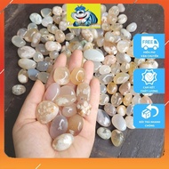 Cherry Blossom Agate Pebbles - Agate Stones for Fish Tank Decoration, Bonsai Pots