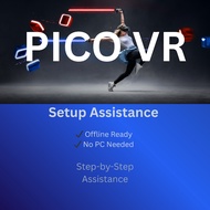 PICO VR Game Setup Service | Offline Play Assistance | No PC Needed
