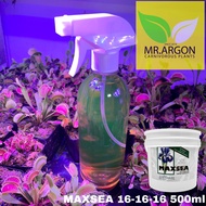 Maxsea 16-16-16 ปุ๋ยน้ำพร้อมใช้งานสำหรับพืชกินแมลงทุกชนิด กาบหอยแครง ซาราซีเนีย หม้อข้าวหม้อแกงลิง หยาดน้ำค้าง