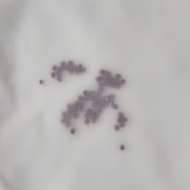 Gauze Gauze High Filter Gauze Density Mesh Gauze Nylon Paint Soy Milk Filter Mesh Nylon Mesh Gauze F