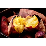 UBI MADU JEPUN/JAPANESE SWEET POTATO (+/-500g)