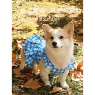 柯基柴犬比熊泰迪狗狗衣服宠物公主裙可爱春夏薄款背心防晒防掉毛Corgi Chai Dog Bixie Teddy Dog Dog Clothes Pet Male  mm889886.my202606