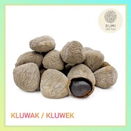 Kluwak Kluwek 250 Grams - Fresh Seasoning Spices