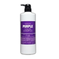 Fiole Qualcia Color Shampoo 1000ml Purple (Direct from Japan)