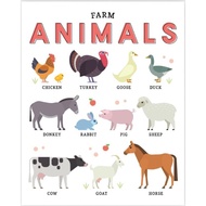 Laminated - Animal Chart (Set1)