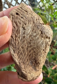 加里曼丹 野生沉香老料 44公克 沉水級 沉香擺件 星洲系 #沉香