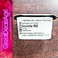 INVICTA RZ BATAVIA LETTUCE SEEDS (1000 PILLS) BY RIJK ZWAAN