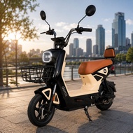 900W Electric Bike 48V 100% Siap Pasang Ebike 2 Seater | Basikal Elektrik Malaysia | 70KM Range | Re