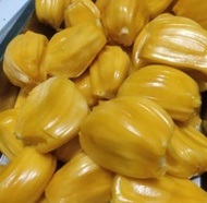 Buah nangka segar siap makan 1 kilo nangka kupas manis banyak manfaat