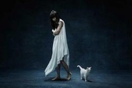[預約]Aimer Live in 武道館 “blanc et noir” 初回生產限定盤(演唱會Blu-ray+CD
