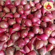 Bawang Merah Brebes/Bawang Brebes/Bawang Merah 1Kg - Bawangbagus