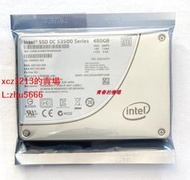 [現貨]Intel SSD DC S3500 480G SSDSC2BB480G4 SATA 企業級 固態硬盤