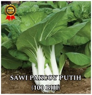 (100 biji) benih sawi pakcoy putih|pakcoy putih